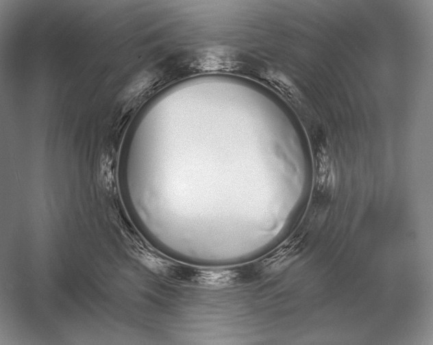 X0000052980569200508051044