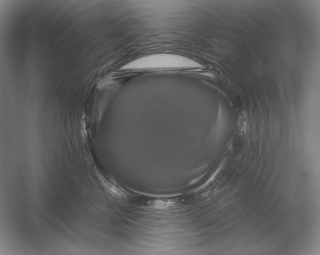 X0000052980570200508051044