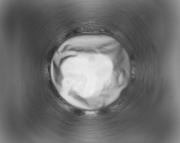 X0000052980573200508051044