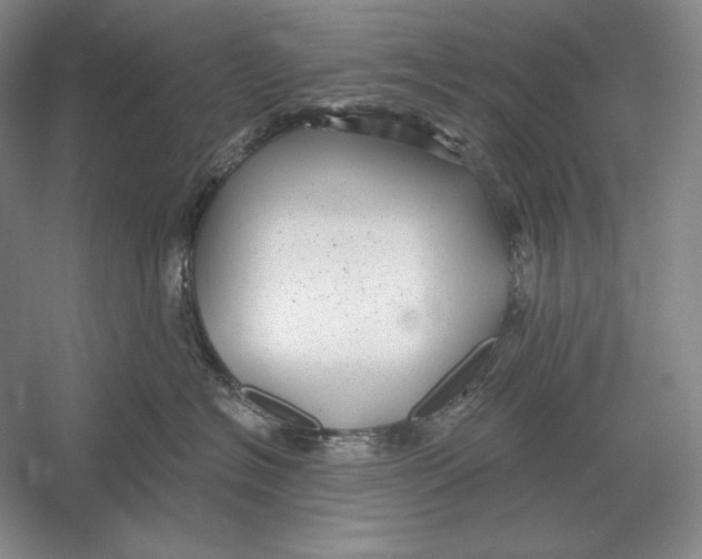 X0000052980574200508051044