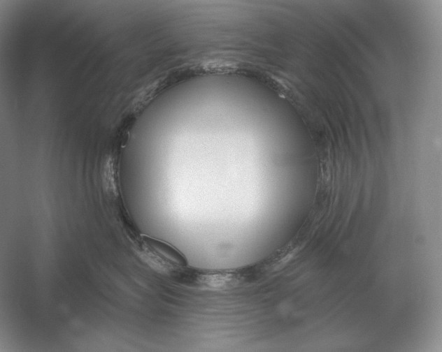 X0000052980575200508051044