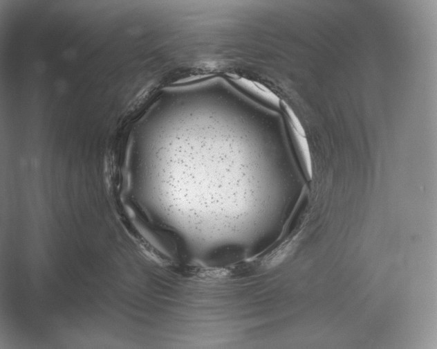 X0000052980576200508051044