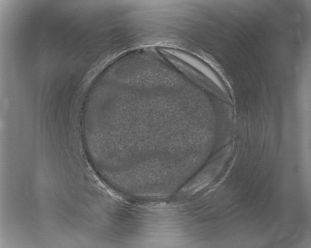 X0000052980577200508051043