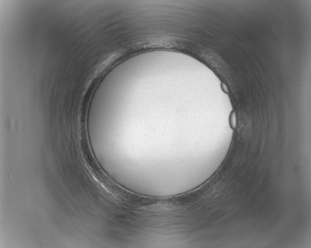 X0000052980578200508051043