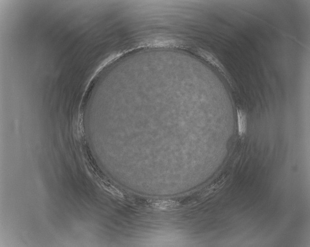 X0000052980579200508051043