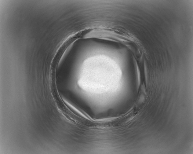 X0000052980580200508051043