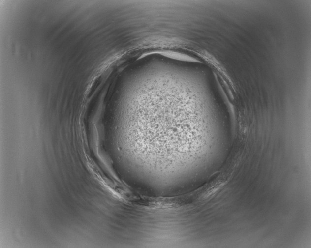 X0000052980581200508051043