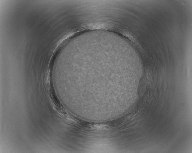 X0000052980583200508051043