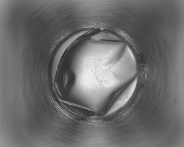 X0000052980585200508051043