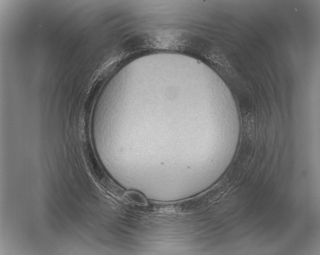 X0000052980587200508051043