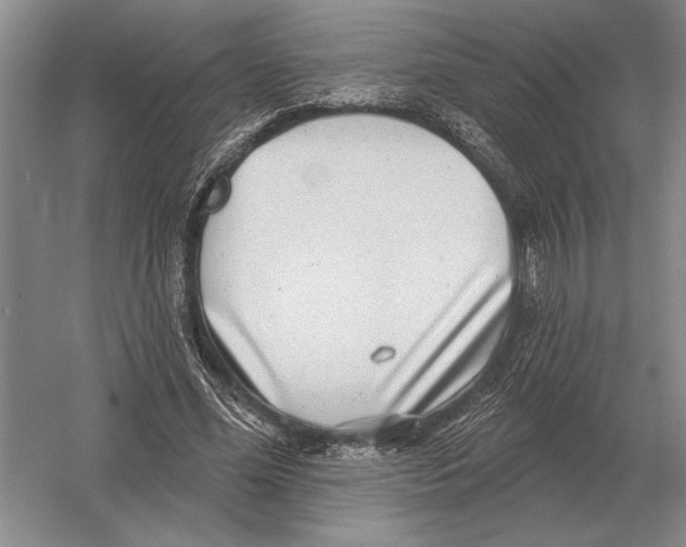 X0000052980588200508051043