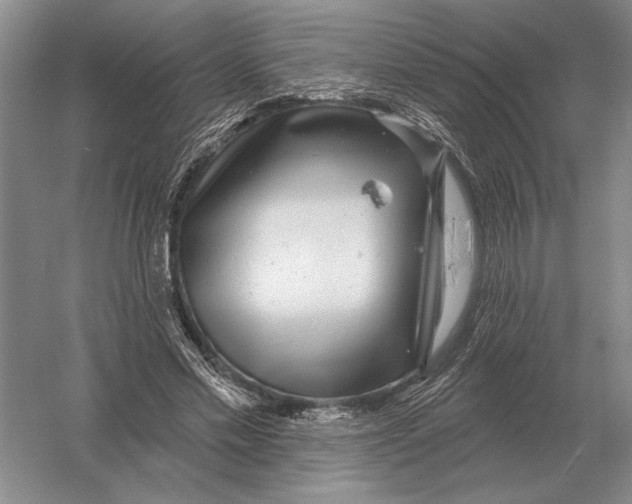 X0000052980589200508051043