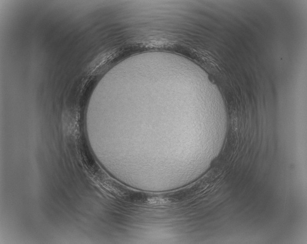 X0000052980591200508051043