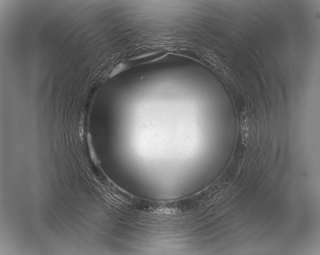 X0000052980593200508051043