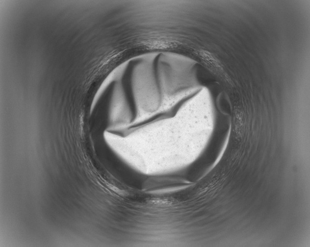 X0000052980596200508051043