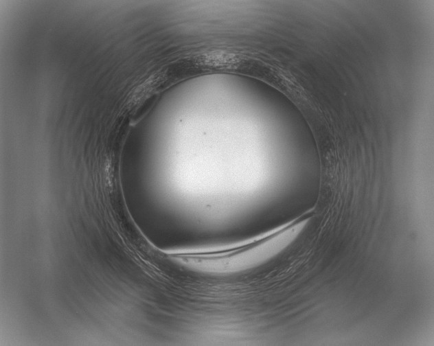 X0000052980597200508051043