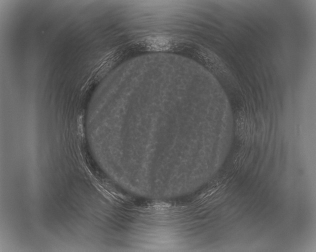 X0000052980598200508051043