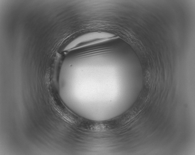 X0000052980600200508051043