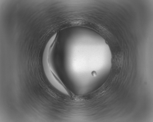 X0000052980601200508051043