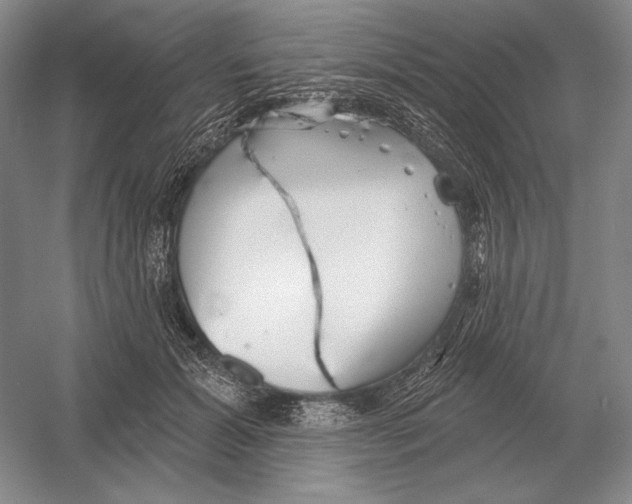 X0000052980605200508051043