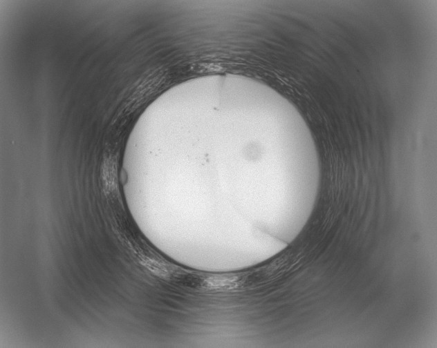 X0000052980606200508051043