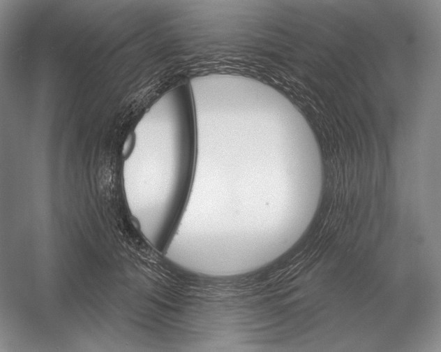 X0000052980608200508051043