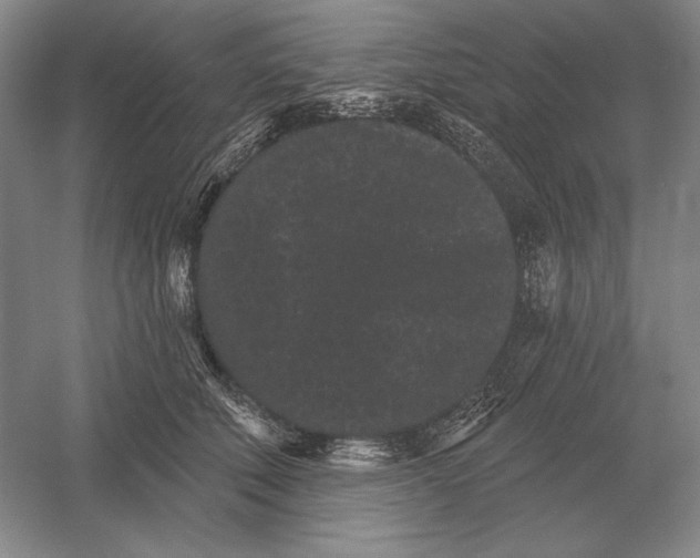 X0000052980610200508051043