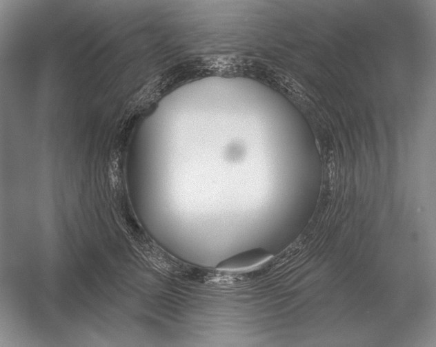 X0000052980611200508051043