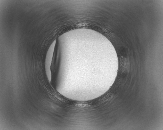 X0000052980614200508051042