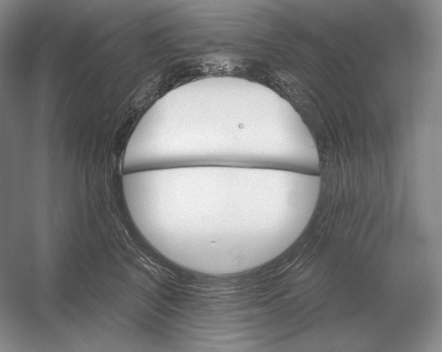 X0000052980616200508051042