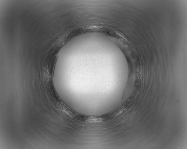 X0000052980617200508051042