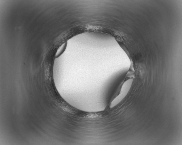 X0000052980619200508051042