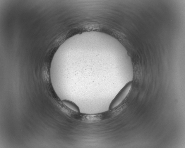 X0000052980622200508051042