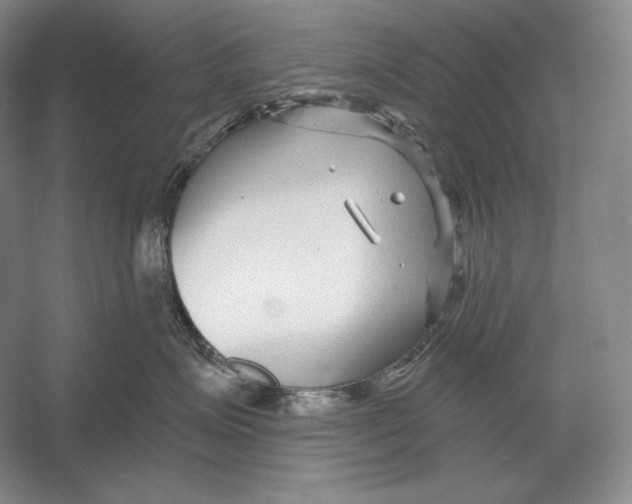 X0000052980623200508051042