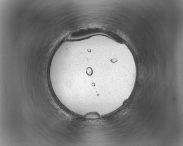 X0000052980625200508051042