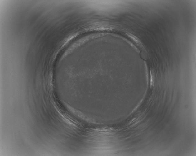 X0000052980627200508051042