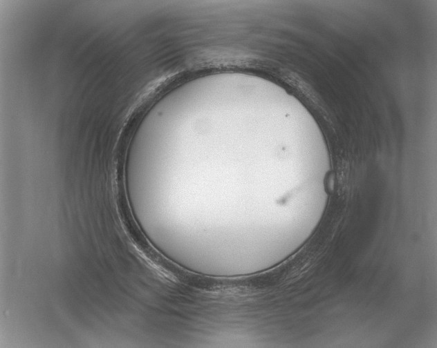 X0000052980629200508051042