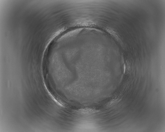 X0000052980630200508051042