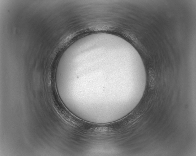 X0000052980631200508051042