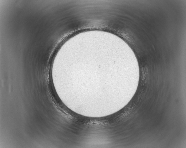 X0000052980632200508051042