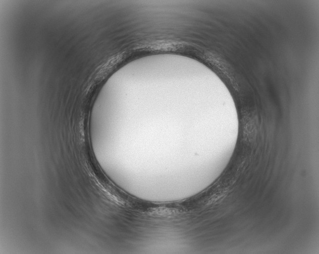 X0000052980633200508051042