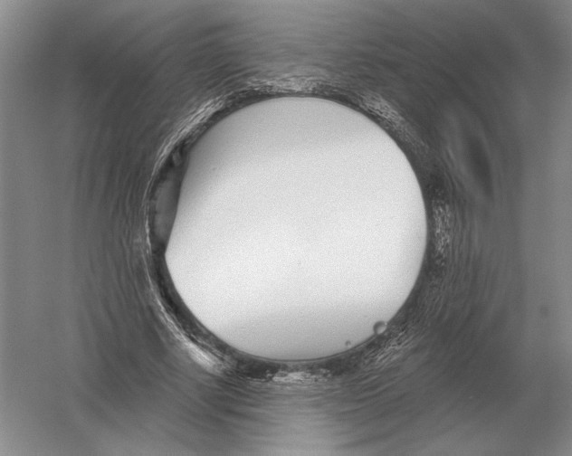 X0000052980634200508051042