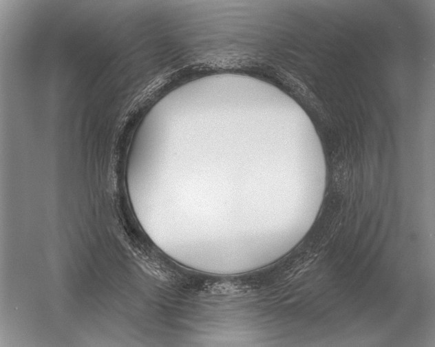 X0000052980635200508051042