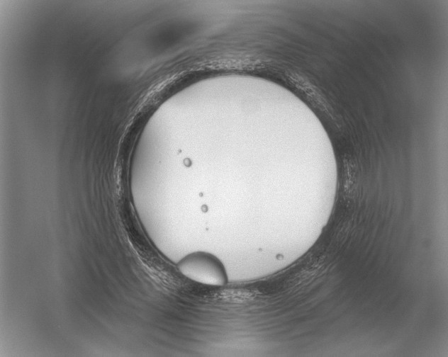 X0000052980636200508051042