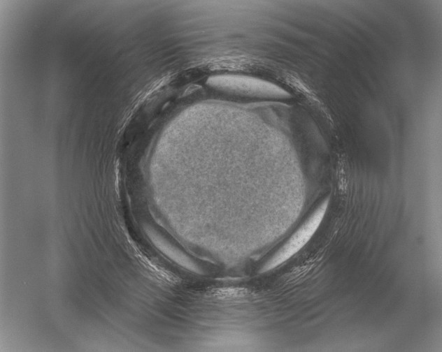 X0000052980637200508051042