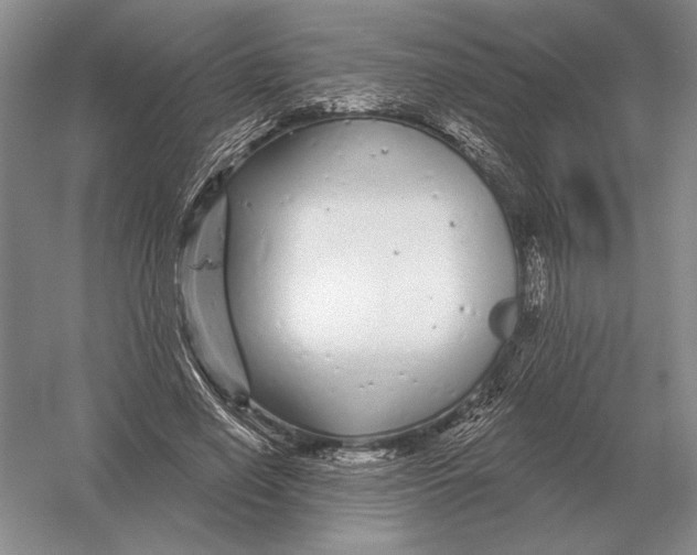 X0000052980638200508051042