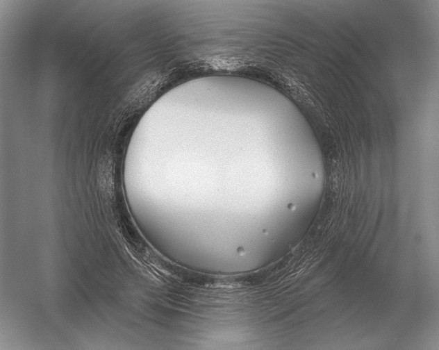 X0000052980639200508051042