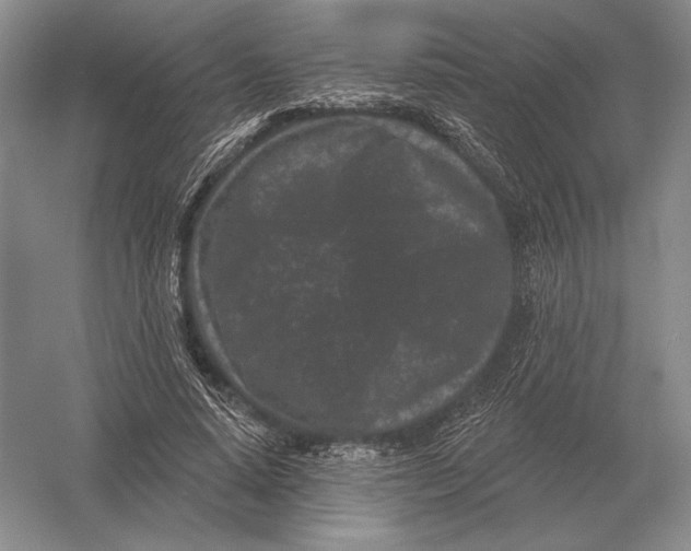 X0000052980640200508051042