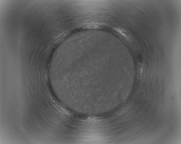 X0000052980641200508051042