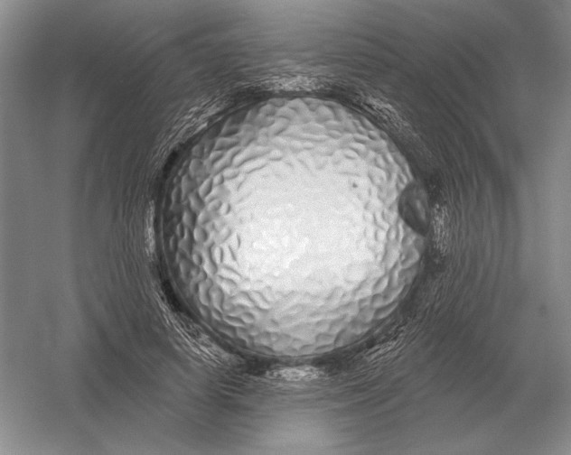 X0000052980642200508051042